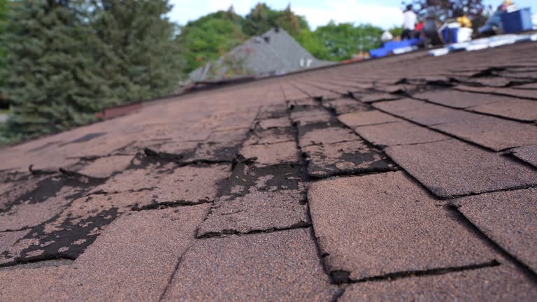 Best Rubber Roofing (EPDM, TPO)  in Lmerton, PA
